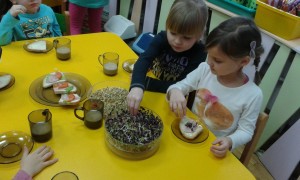 20160201_084913 (1)